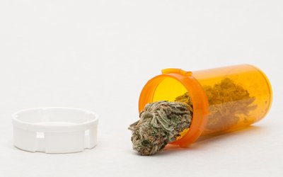 Cann Group and IDT Australia prepare for commercial launch of medicinal cannabis product