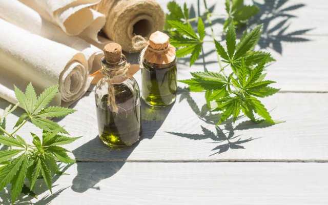 Cannindah Resources forges into hemp space with Annabis Hemp agreement