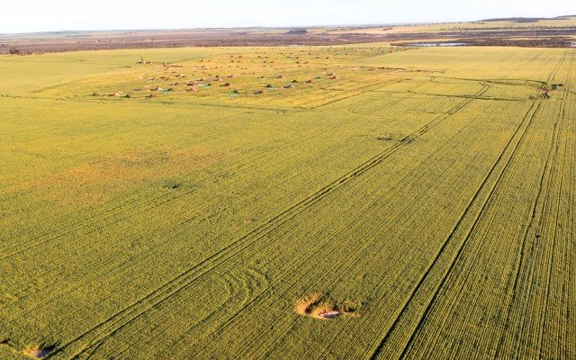 Caravel Minerals releases revised scoping study for namesake copper project