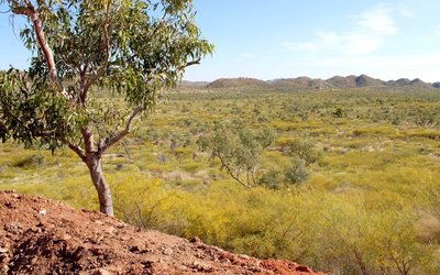 Carnaby Resources strikes high-grade copper-gold in maiden Trekelano drilling