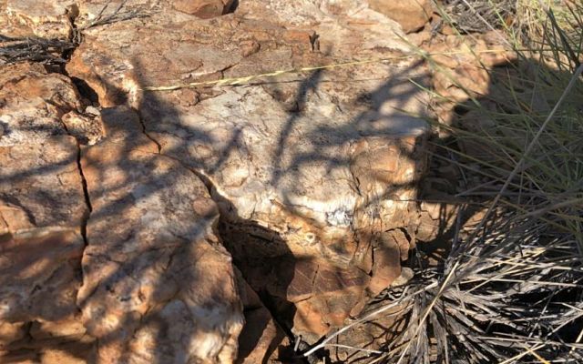 Carnaby Resources reveals up to 8.6% copper in Mount Birnie historical data