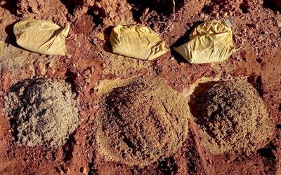 Cauldron Energy confirms significant uranium discovery at Manyingee South prospect