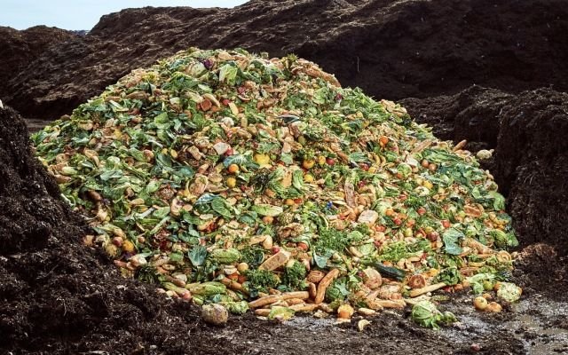 CCP Technologies harnesses the Internet of Things to help solve US$1.2 trillion global food wastage crisis