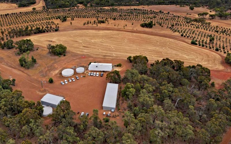 Chalice Mining lifts Gonneville metal recoveries with breakthrough flowsheet improvements