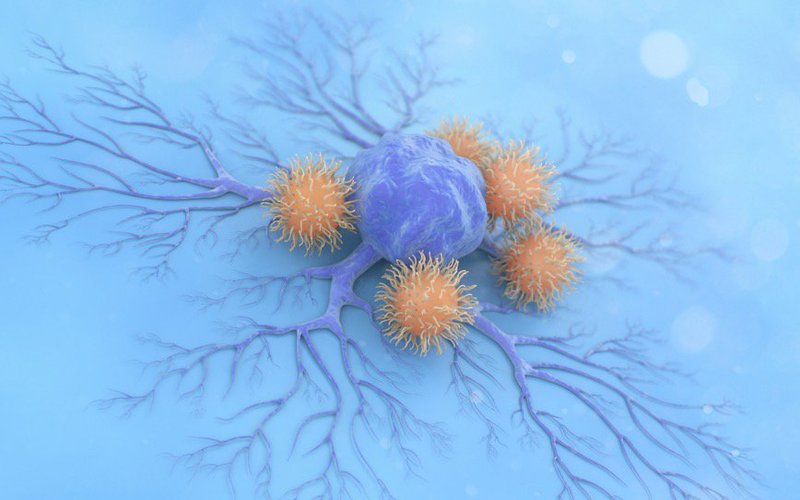 Chimeric Therapeutics adds armor to latest cancer fighting cell platform