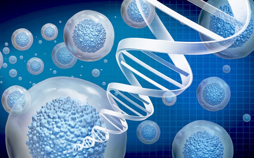 Chimeric Therapeutics receives ethics approval for CHM CDH17 gastrointestinal cancer trial