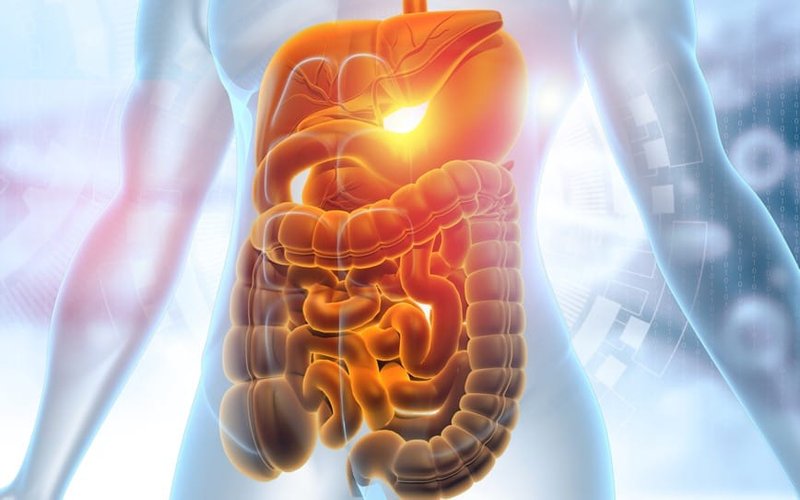 Chimeric Therapeutics receives FDA clearance for CHM 2101 to treat gastrointestinal cancers