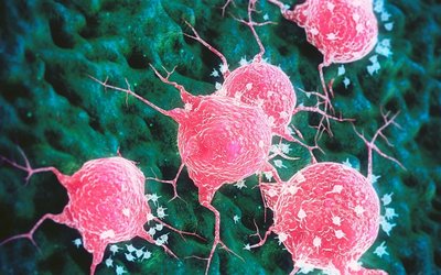 Chimeric Therapeutics reports positive in vitro data for CHM 1301 on pancreatic and ovarian cancers