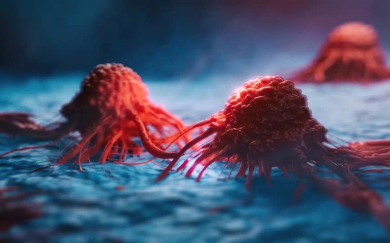 Chimeric Therapeutics reports positive interim data from CLTX CAR T brain cancer trial