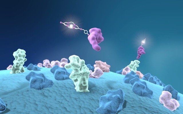 Clarity Pharmaceuticals begins phase II trial using SAR-Bombesin as prostate cancer diagnostic