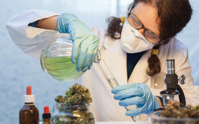 Clinical trial highlights tolerability of Bod Australia’s medicinal cannabis product