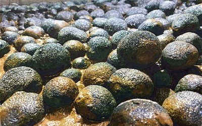 Cobalt Blue to Partner with Glomar Minerals to Develop World’s First Polymetallic Nodule Refinery