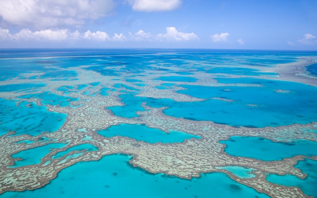 Coles pledges $10m to preserving Great Barrier Reef, Appen deal with Telus falls through and Boral confirms job cuts