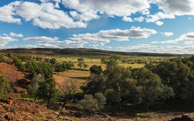 Corazon Mining makes major new copper trend find in New South Wales