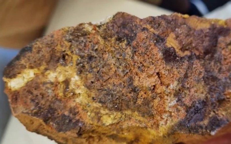 Cosmos Exploration uncovers high-grade rare earths at Byro East