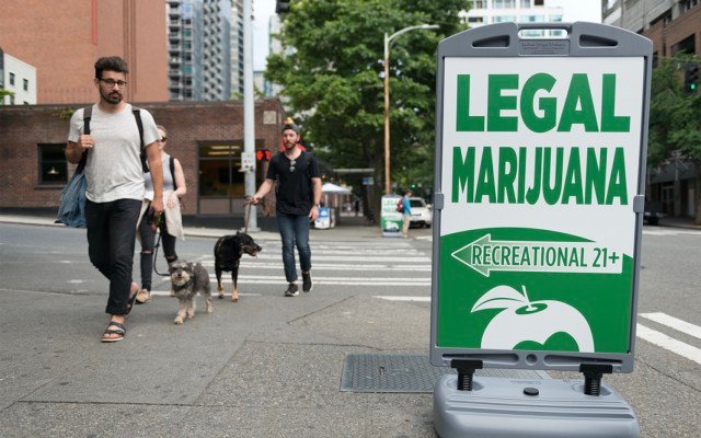 Creso Pharma appoints new business director ahead of US legalisation for recreational cannabis