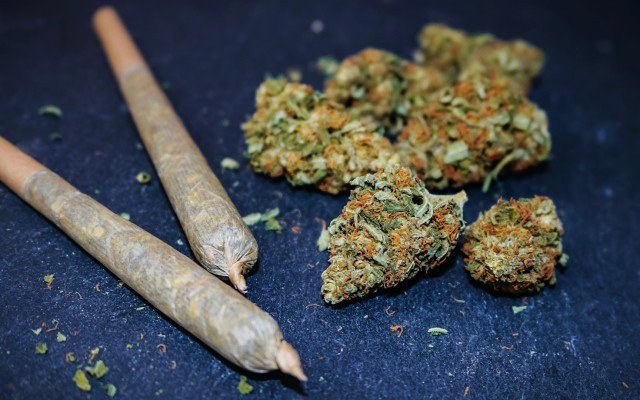 Creso Pharma’s Canadian subsidiary Mernova continues sales growth after receiving three new purchase orders