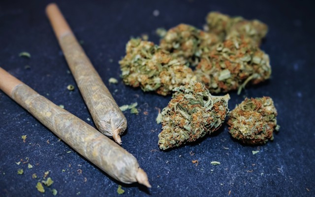 Creso Pharma’s Canadian subsidiary Mernova continues sales growth after receiving three new purchase orders