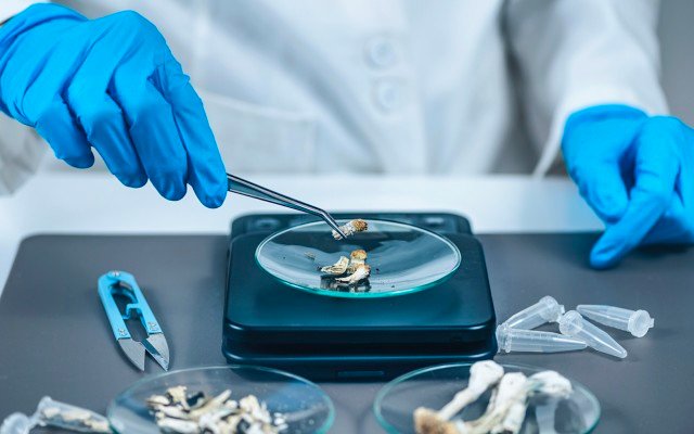 Creso Pharma acquisition target Halucenex to test efficacy of synthetic liquid psilocybin for use in treatment-resistant PTSD