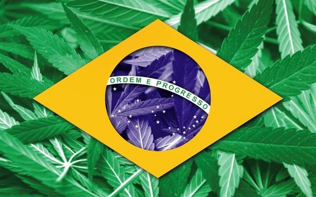 Creso Pharma launches medical cannabis pain lozenge in Brazil