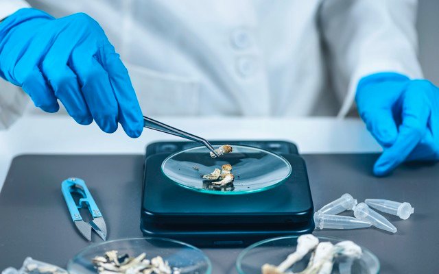 Creso Pharma’s soon-to-be subsidiary Halucenex executes deal to generate psychedelic extracts in-house