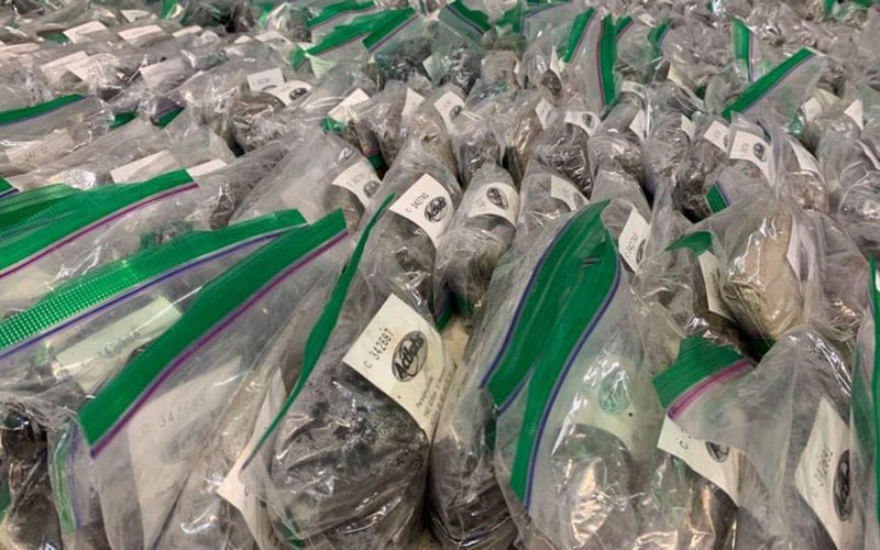 Critical Resources reports encouraging workstreams at Mavis Lake northern lithium prospects