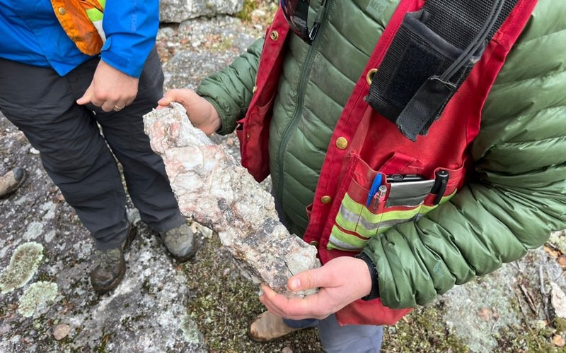 Critical Resources extends Mavis Lake Swell Zone discovery strike