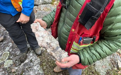 Critical Resources extends Mavis Lake Swell Zone discovery strike