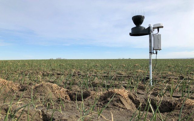 CropLogic records first sale of crop monitoring product from new Mildura office