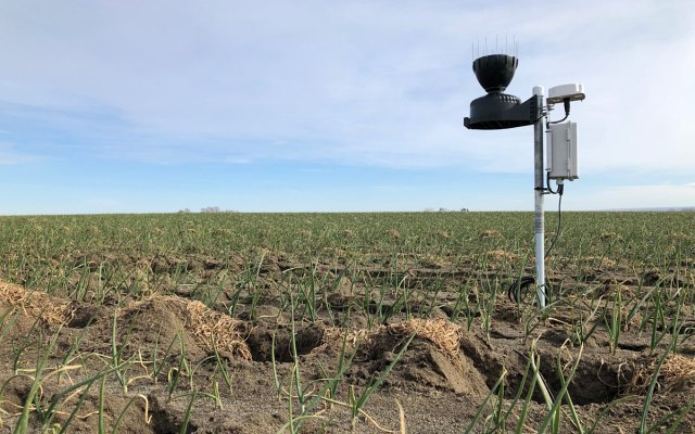 CropLogic records first sale of crop monitoring product from new Mildura office