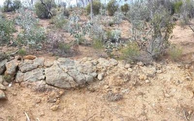 CuFe reports signficant niobium and tantalum results from sampling at North Dam lithium project