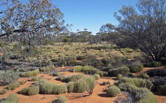 Cygnus IPOs on ASX to fund gold exploration at WA wheatbelt projects