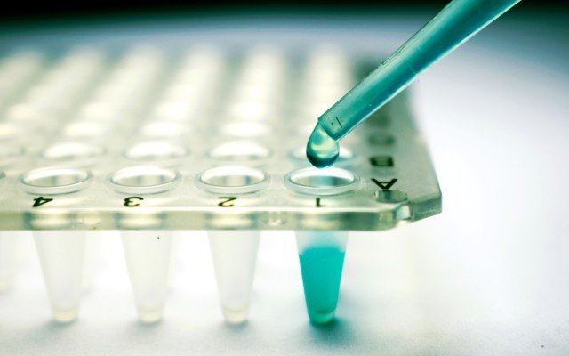 Cynata Therapeutics looks to advance Cymerus stem cell treatment into phase 2 trials