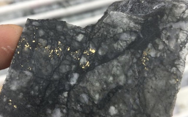 Dacian discovers new gold zone north of Westralia mine