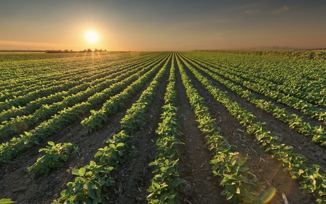 Danakali eyes finish line for Eritrea potash project