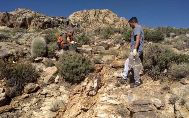 Dark Horse Resources confirms widespread gold and silver at Las Openas