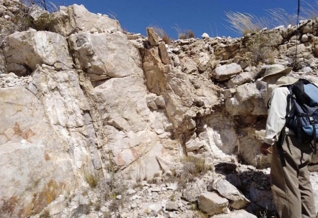 Dark Horse Resources pleases punters with lithium assays, gold acquisition plans