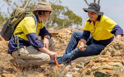 Dart Mining acquires Triumph gold project from Sunshine Metals for $2m