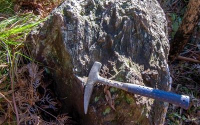 Dart Mining pinpoints potential ‘large-scale’ gold system at Buckland