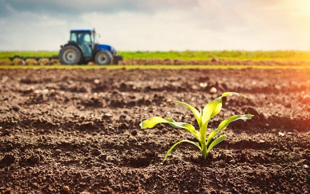 Davenport Resources raises $10m for German potash, balance sheet strongest ever