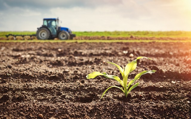 Davenport Resources raises $10m for German potash, balance sheet strongest ever