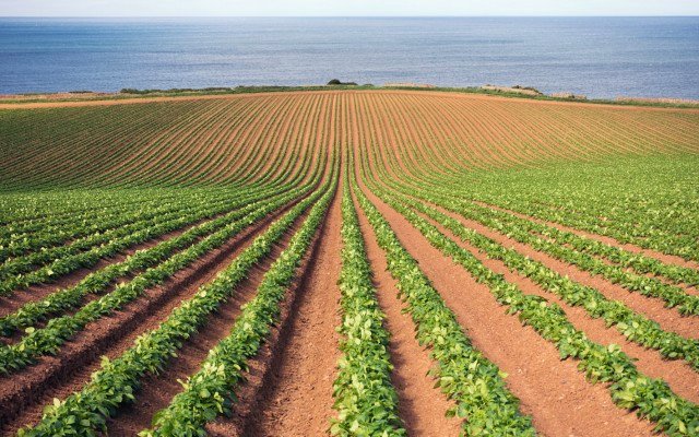 Davenport Resources ready to advance European potash projects