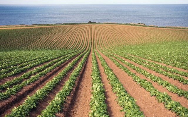 Davenport Resources ready to advance European potash projects