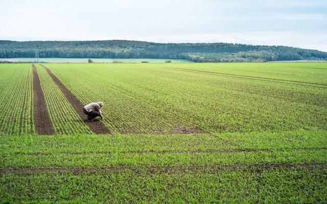 Davenport Resources reveals large magnesium sulphate resource in Germany