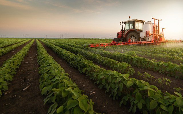 Davenport Resources strengthens cash reserves, appoints Deloitte as financial adviser