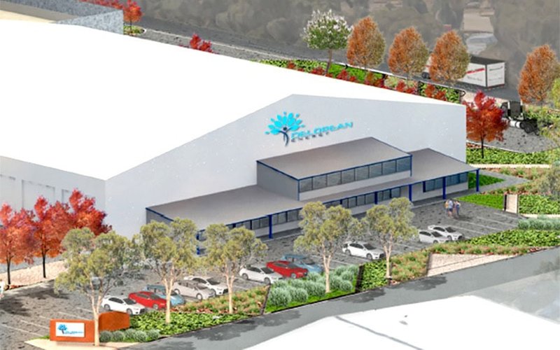 Delorean Corporation awarded $6m ARENA grant to advance SA1 bioenergy facility