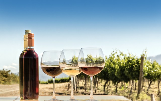 Digital Wine Ventures grows WineDepot management team across Australia-New Zealand market