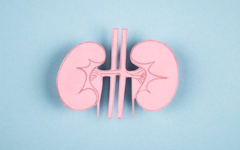 Dimerix secures deal to commercialise DMX-200 for treatment of rare kidney disease