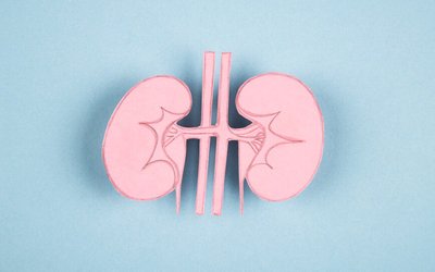 Dimerix secures deal to commercialise DMX-200 for treatment of rare kidney disease