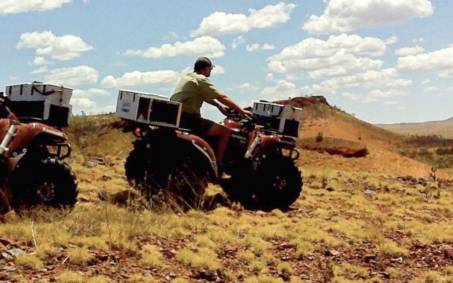 DiscovEx hints at major new discovery for Edjudina gold project following high-grade end-of-hole intersections